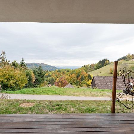 Apartment On The Edge Of The Forest Kleines Wiesental Buitenkant foto