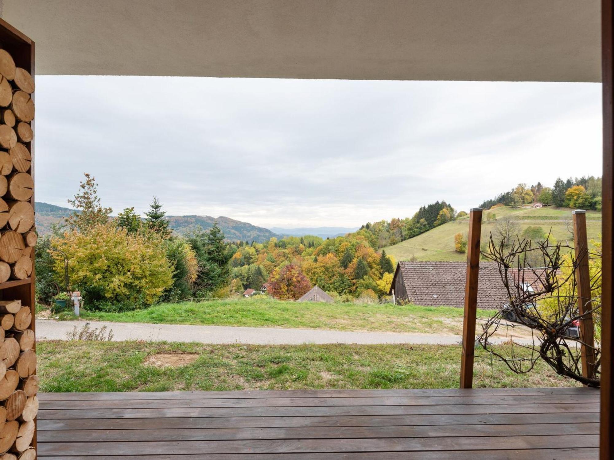 Apartment On The Edge Of The Forest Kleines Wiesental Buitenkant foto